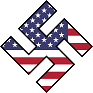 small american swastika icon